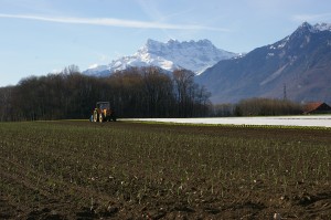 Ambiance agricole